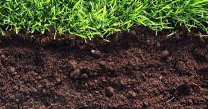 почва для растений удобрение земли