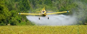 пестициды гербициды инсектициды фунгициды
